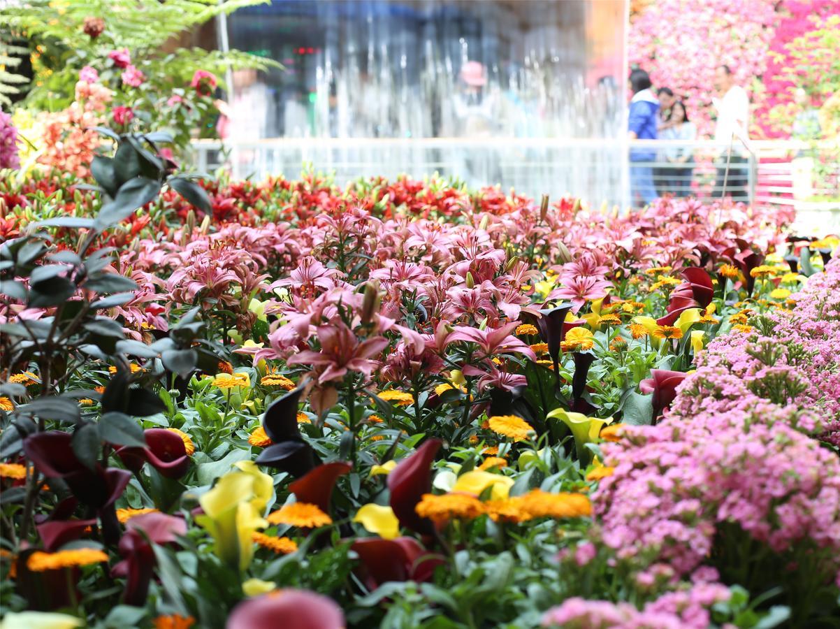 Howard Johnson Flower City Hotel 昆明 エクステリア 写真